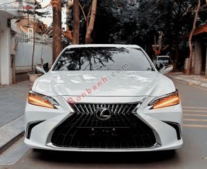 Xe Lexus ES 250 2022