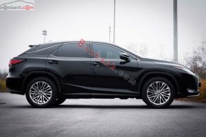 Xe Lexus RX 350 2022