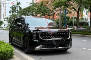Xe Kia Carnival Signature 2.2D 2024